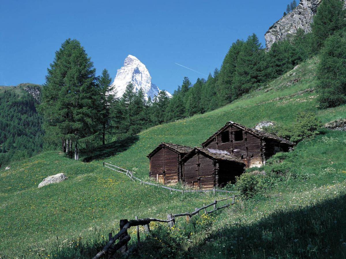 Apartment Dianthus-1 By Interhome Zermatt Exterior foto